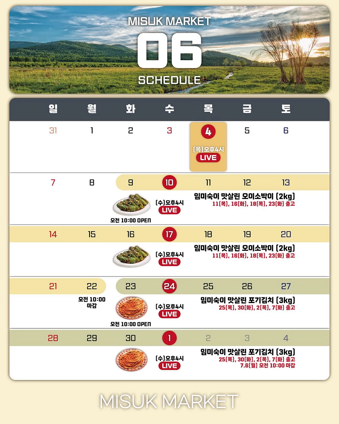 신상리본 1