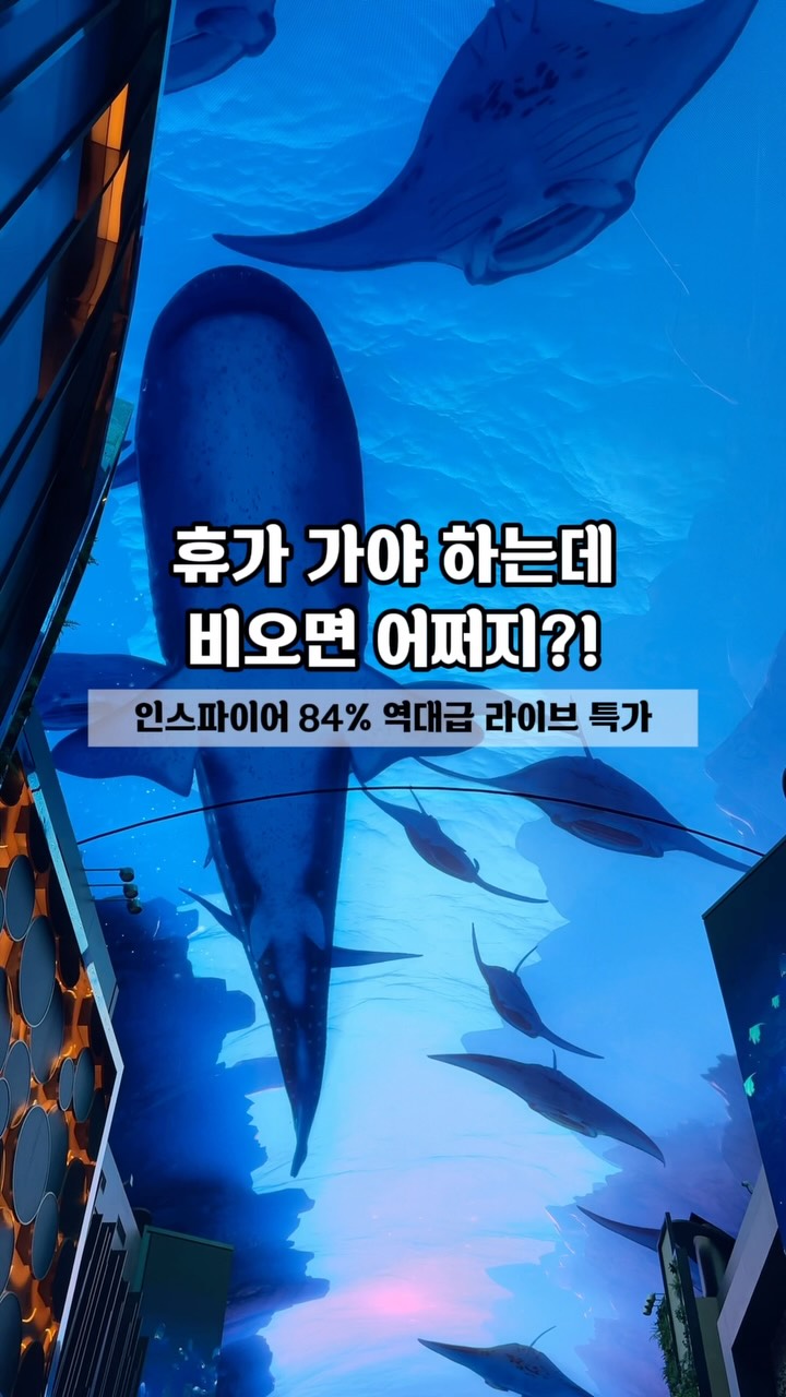부모님 감사영상