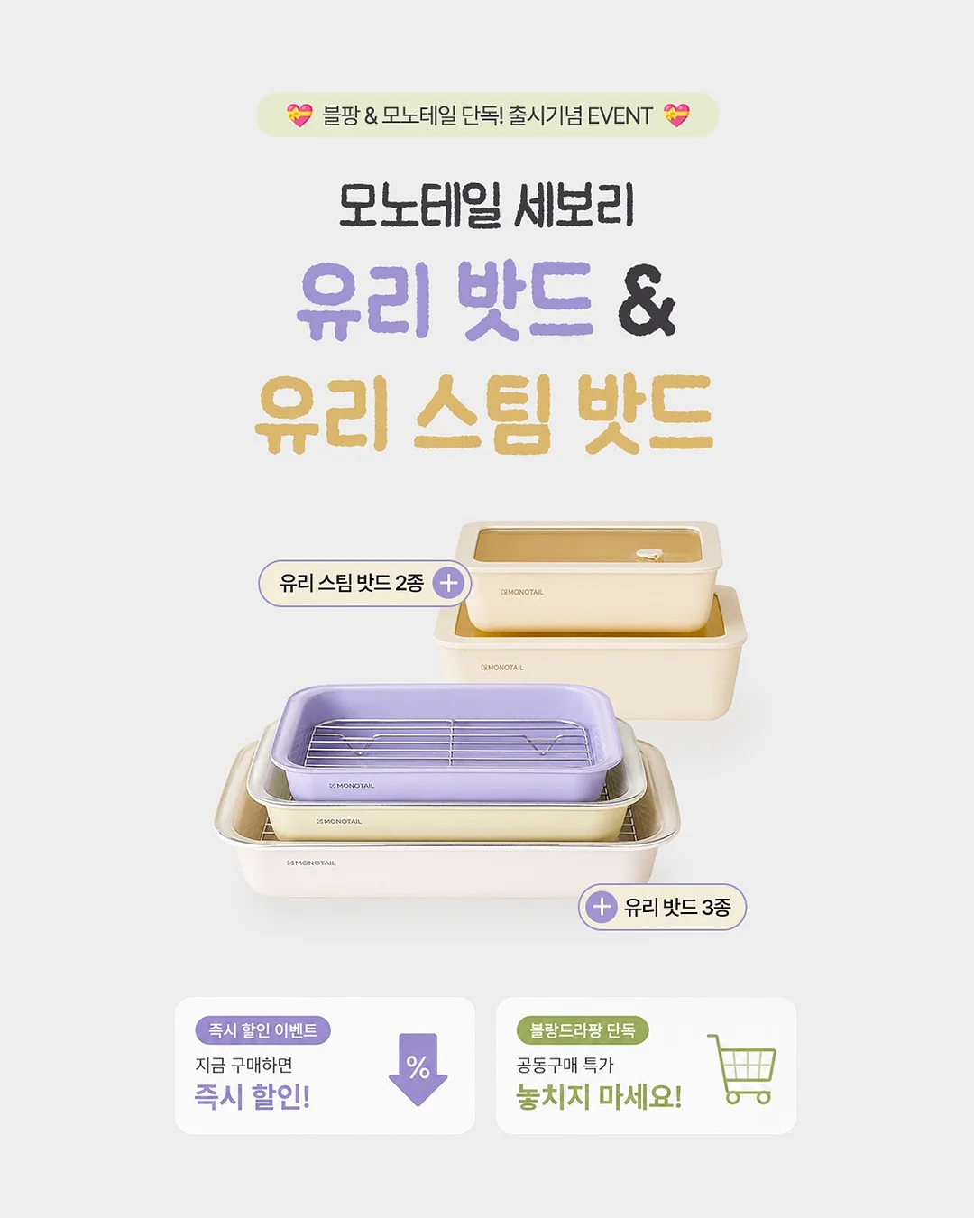 아스타꽃 모종 7
