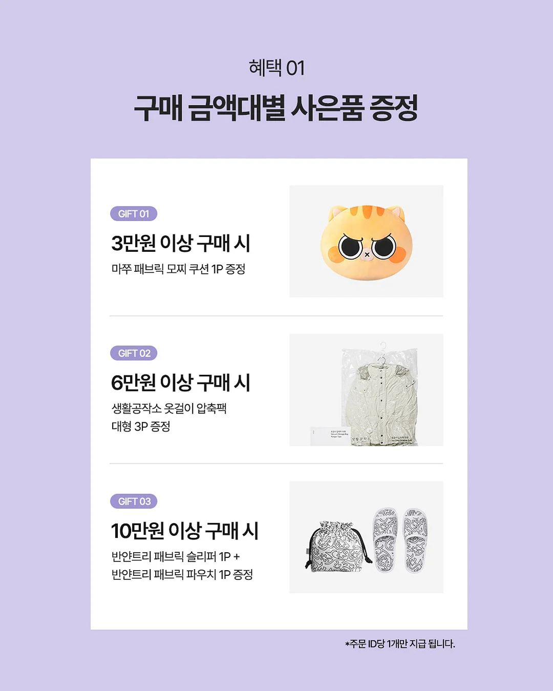 아스타꽃 모종 8