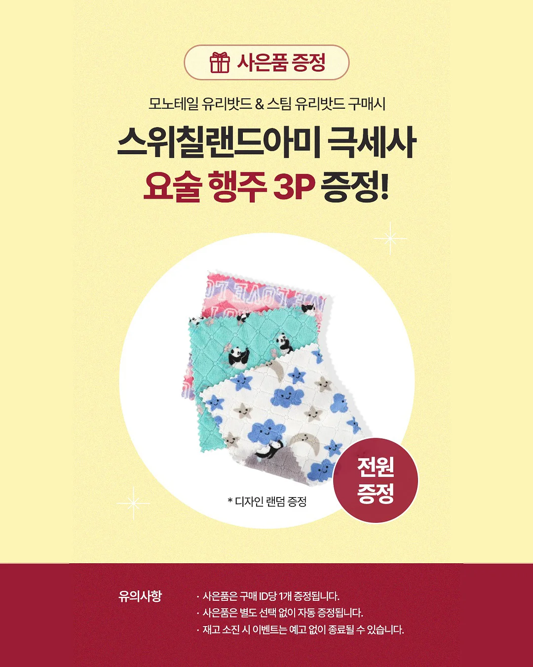아스타꽃 모종 9
