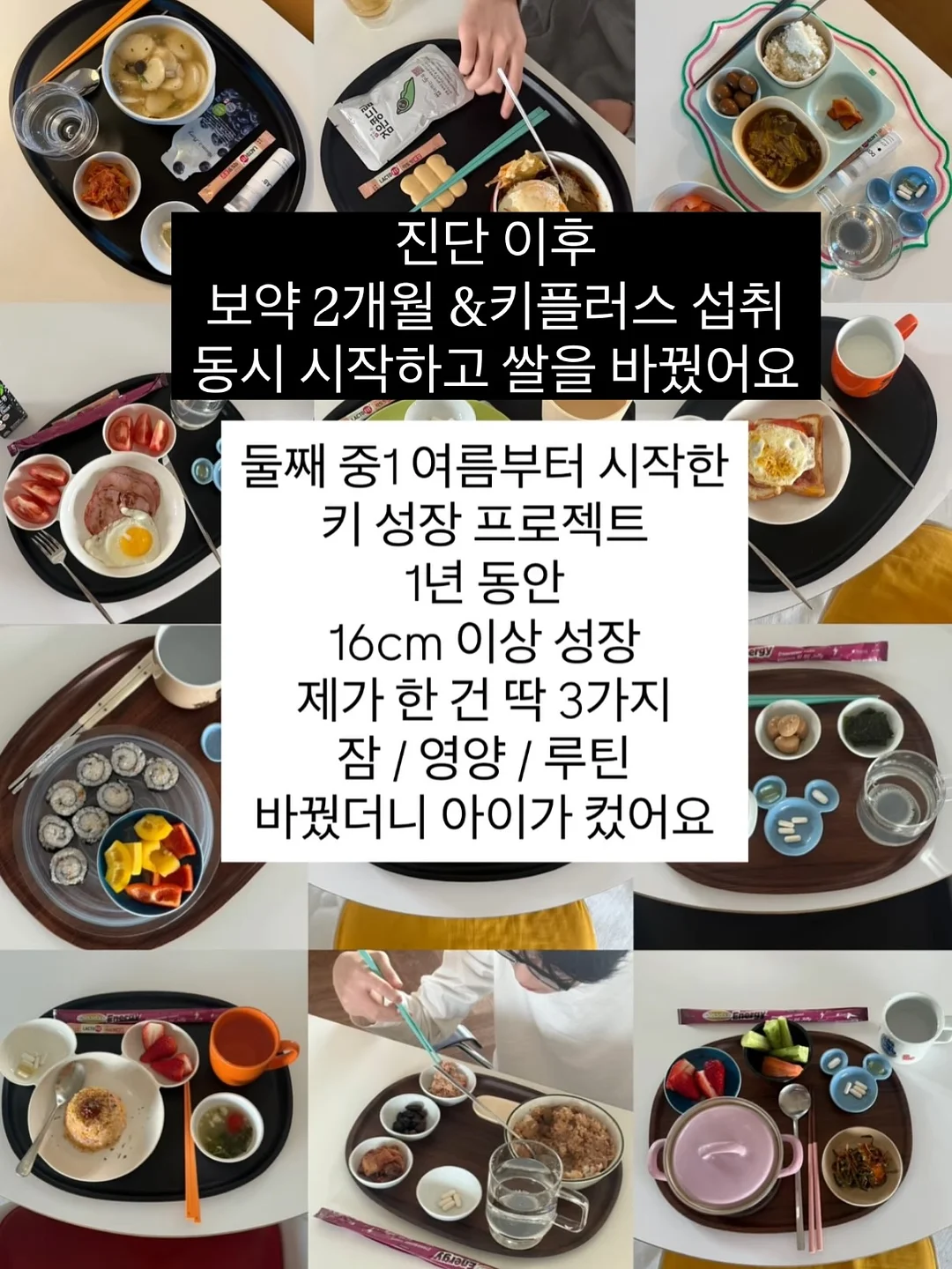 세탁조 클리너 11