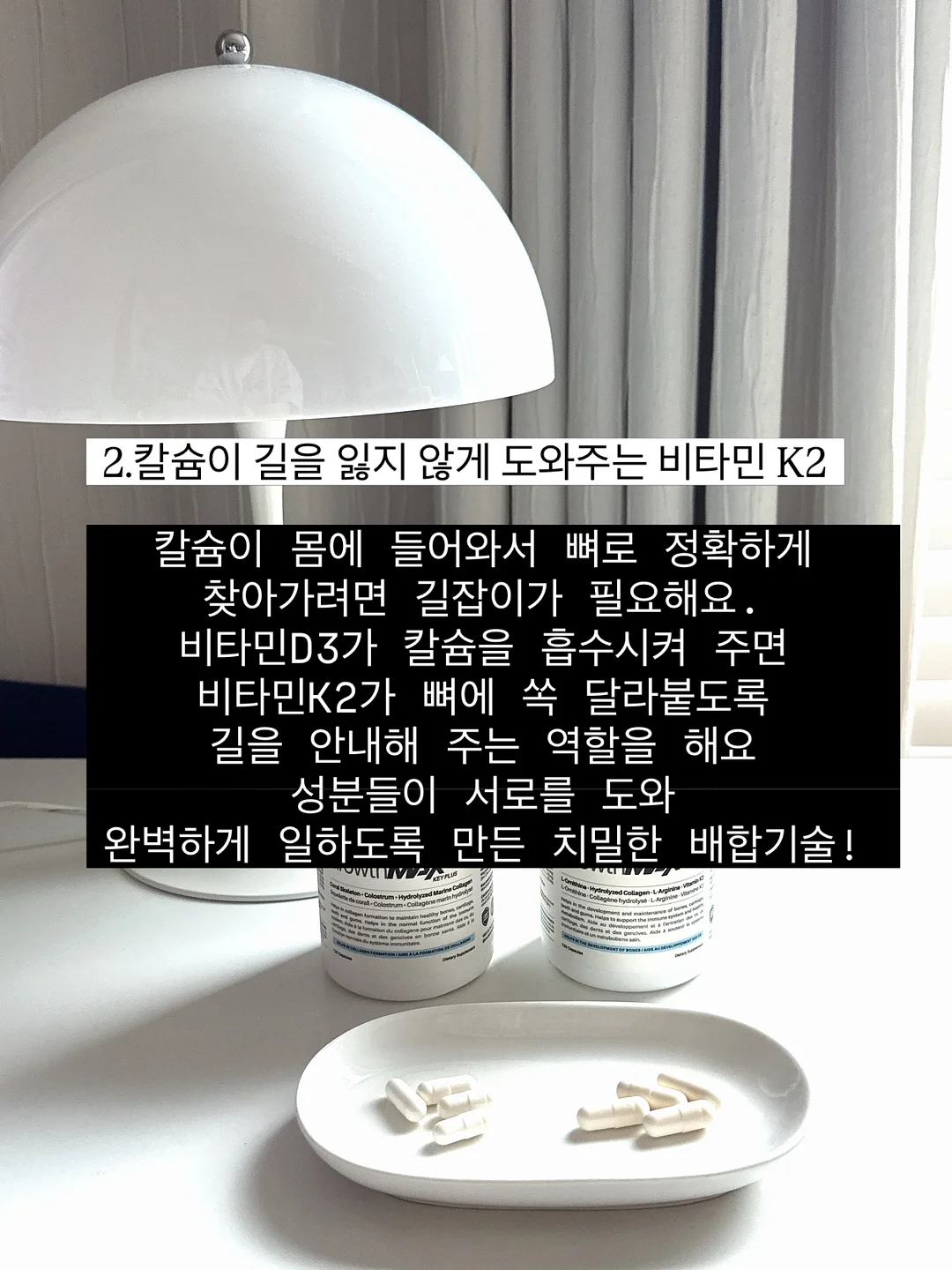 세탁조 클리너 17