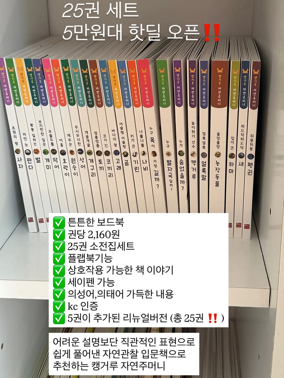 디바디바 450 바베큐그릴 11