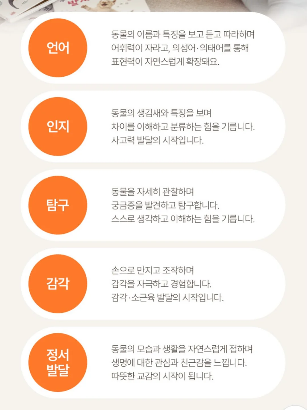 디바디바 450 바베큐그릴 12