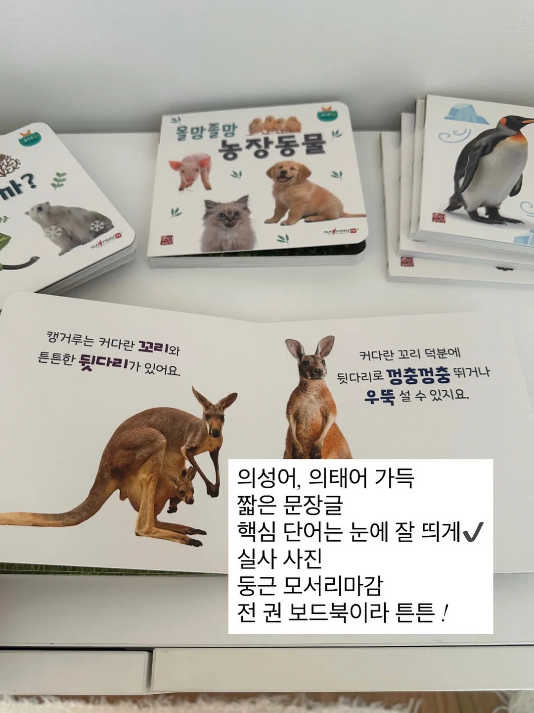 디바디바 450 바베큐그릴 2