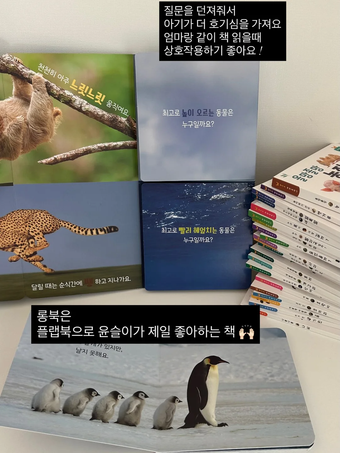 디바디바 450 바베큐그릴 3