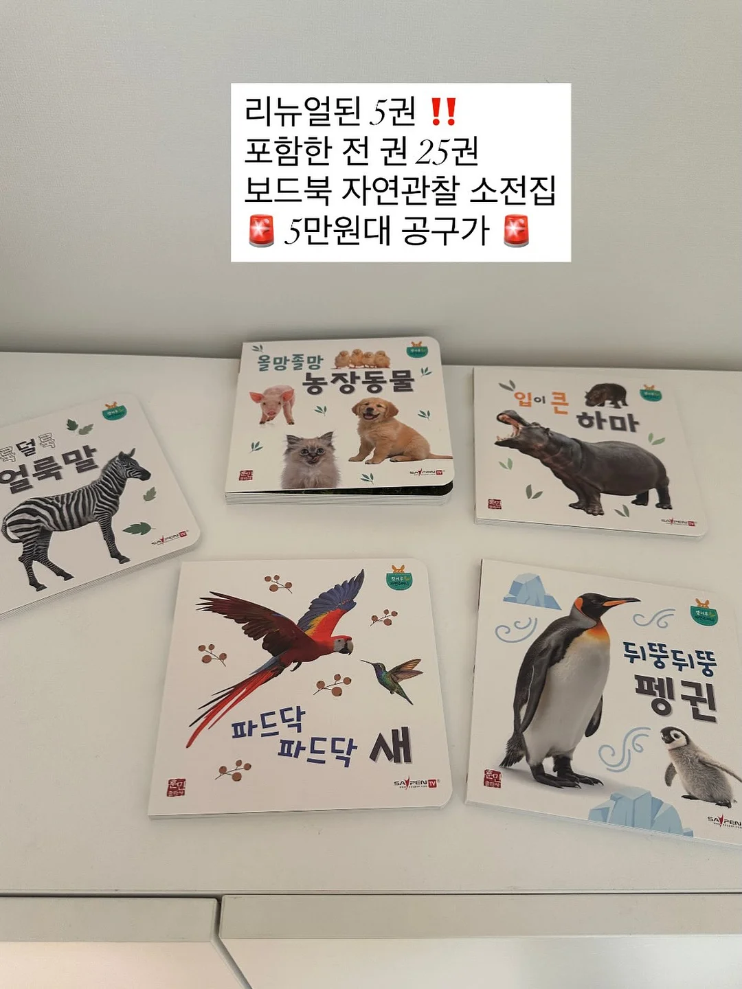 디바디바 450 바베큐그릴 4