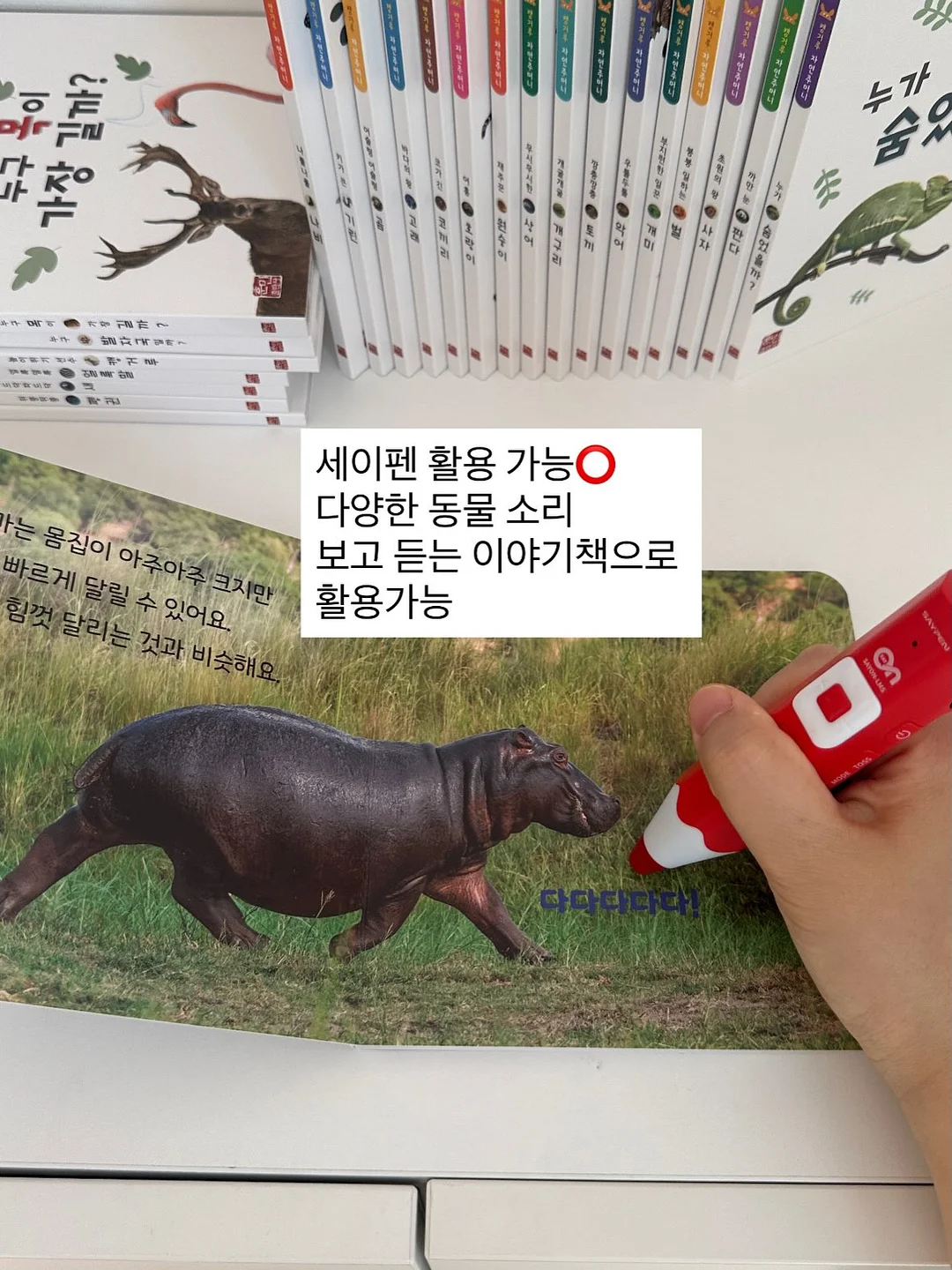 디바디바 450 바베큐그릴 5