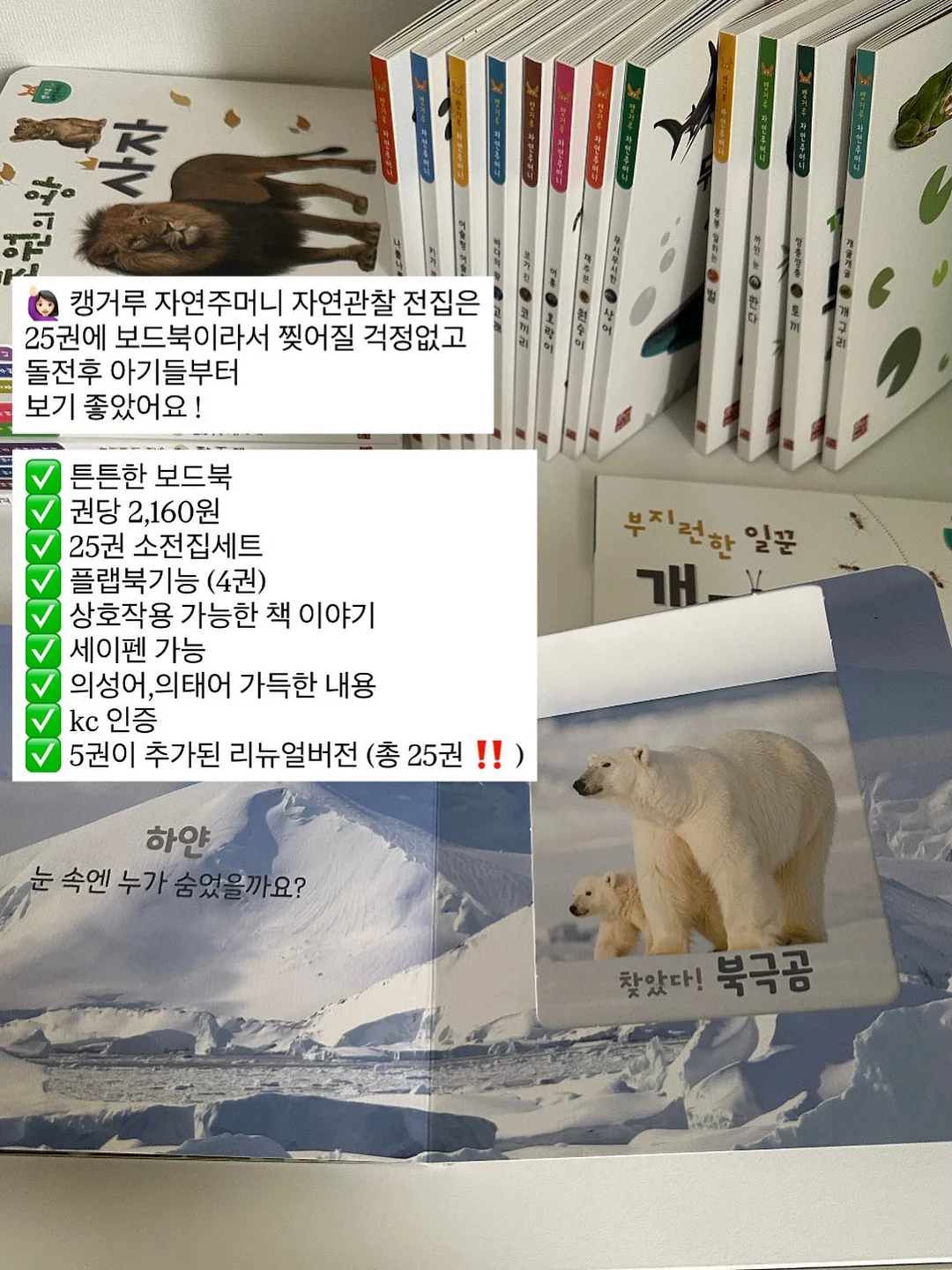 디바디바 450 바베큐그릴 10