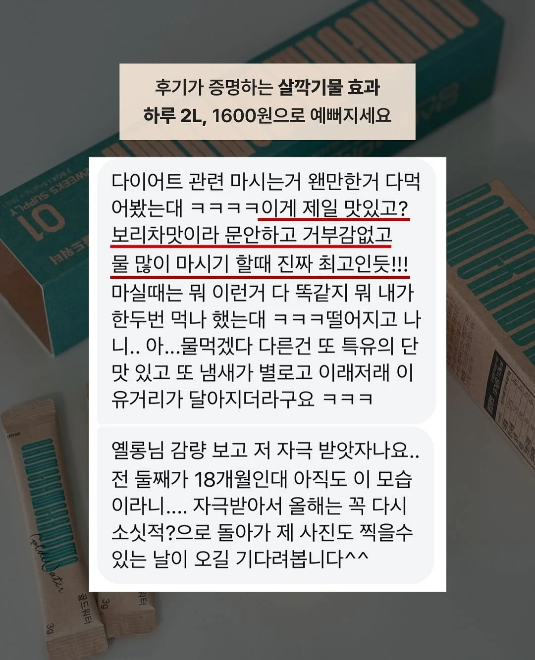 퇴촌 토마토 9