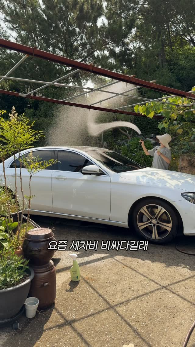 투웨이 홀터나시