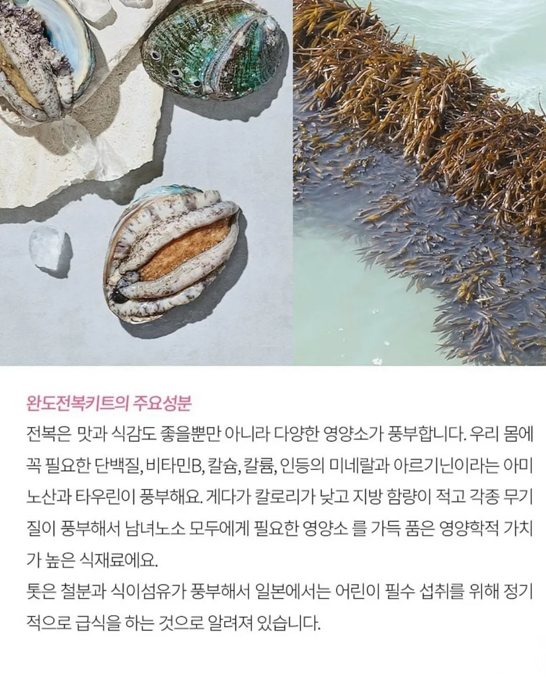 유자&오디 몽블랑 케이크 10