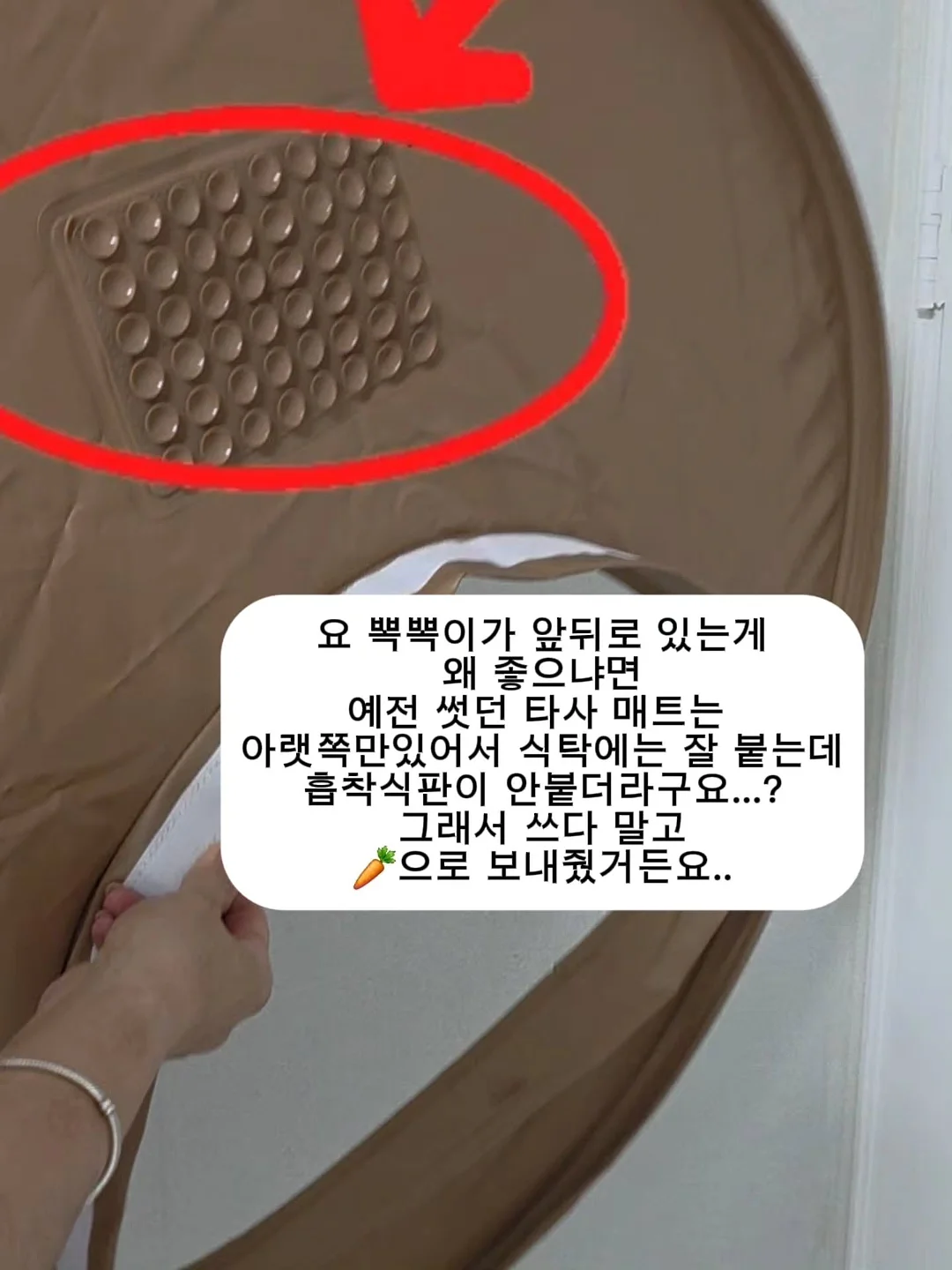 김정난 식품 10