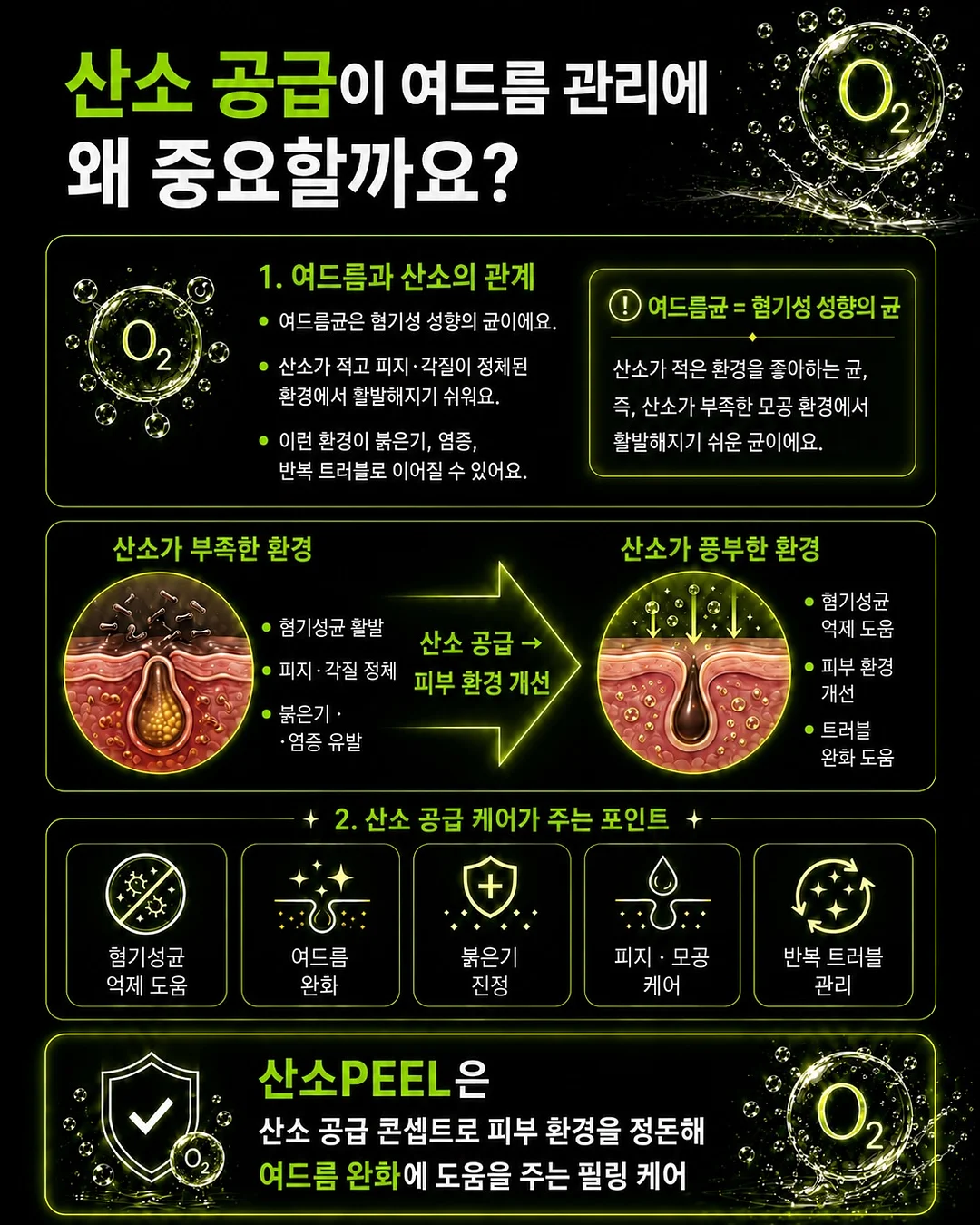 영양제 3종 3