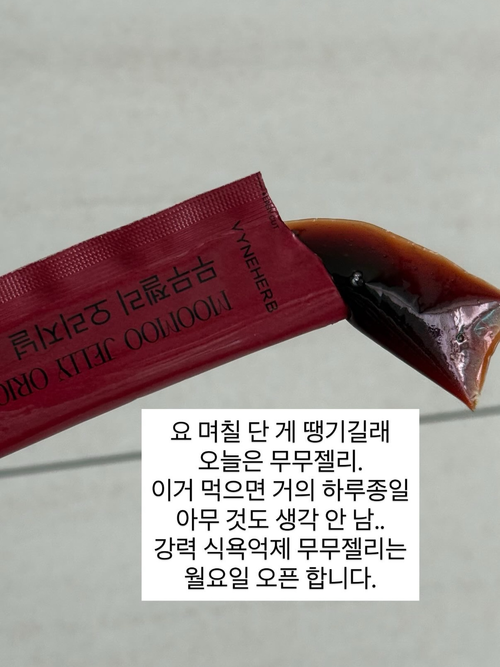 엘리에나 호텔 웨딩