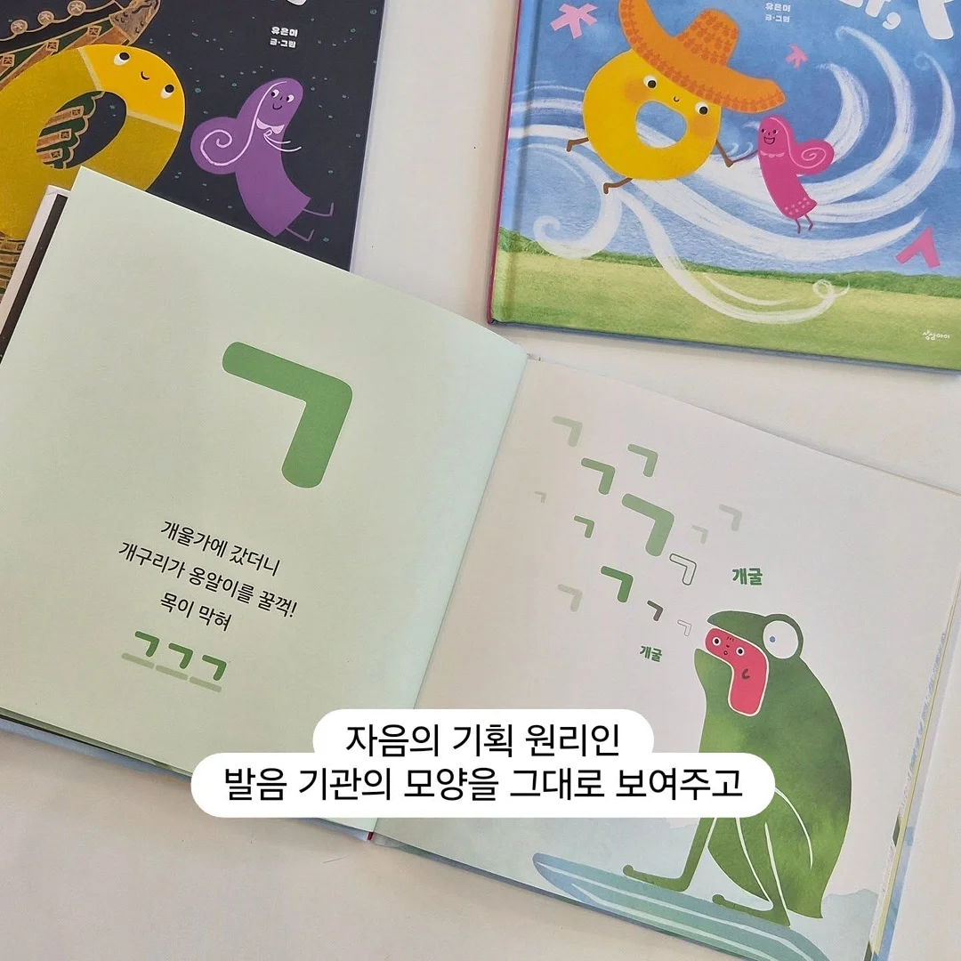 뉴본스너글 유니버셜핏 신생아 라이너 3