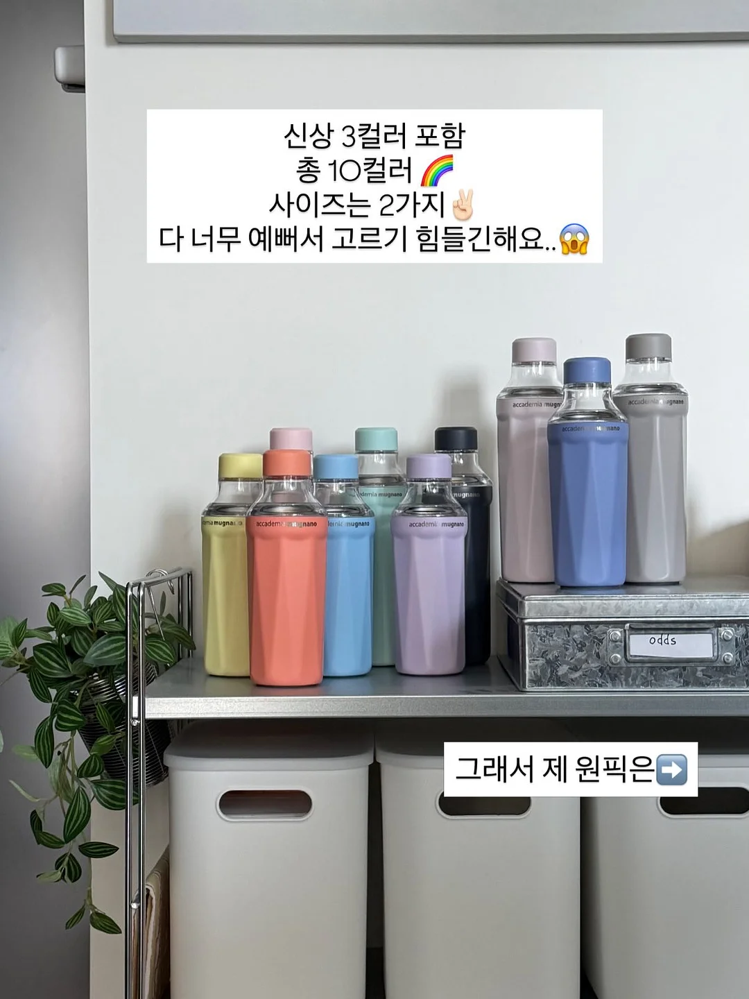 릴스 특별 교육반 16