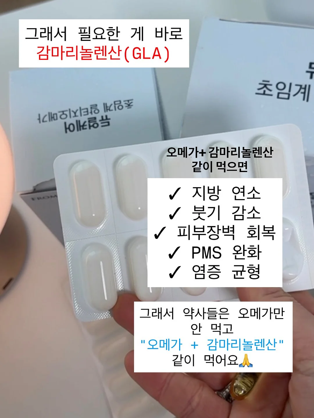 고양이 펜 5