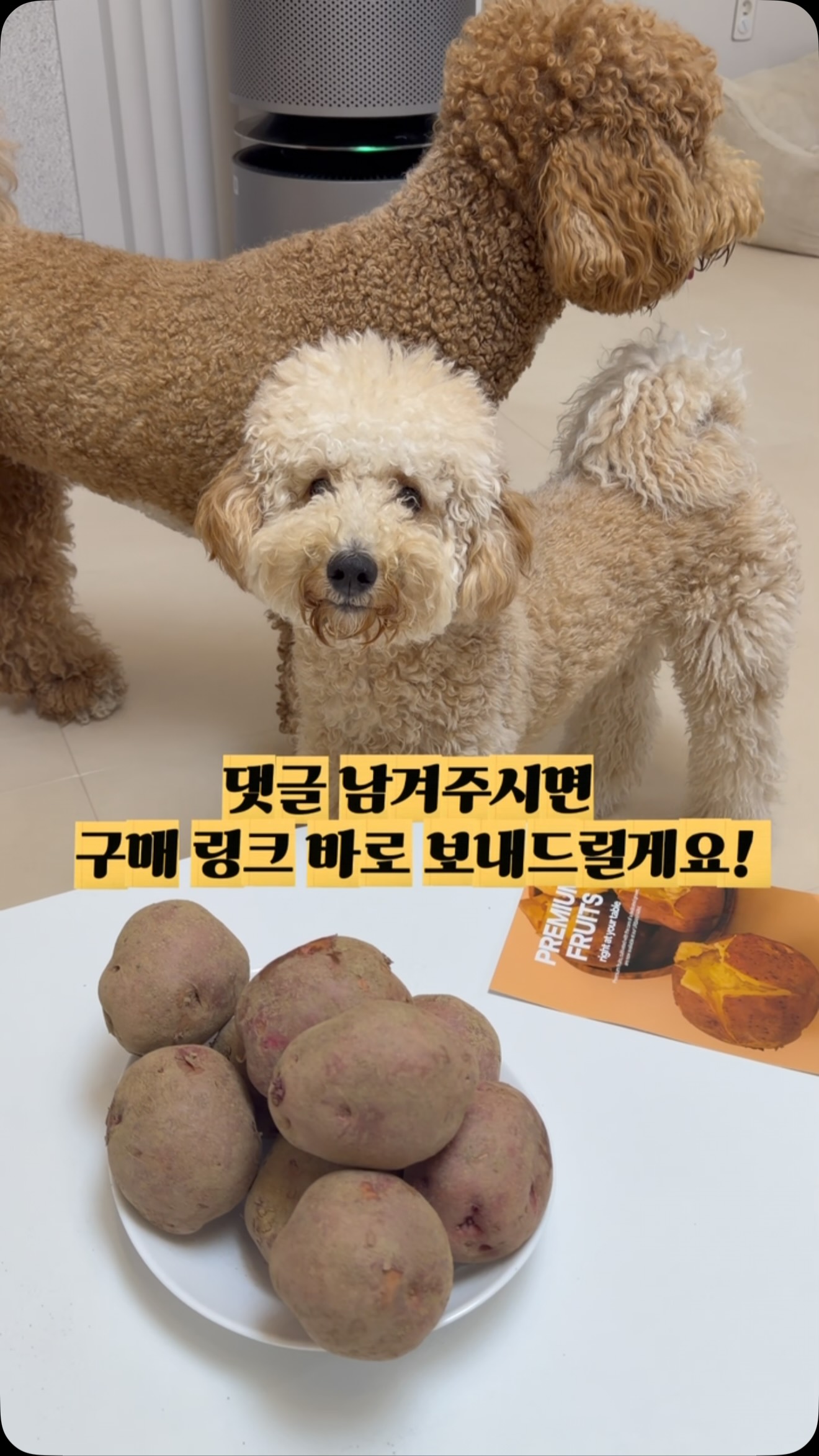 밀폐 기저귀 쓰레기통