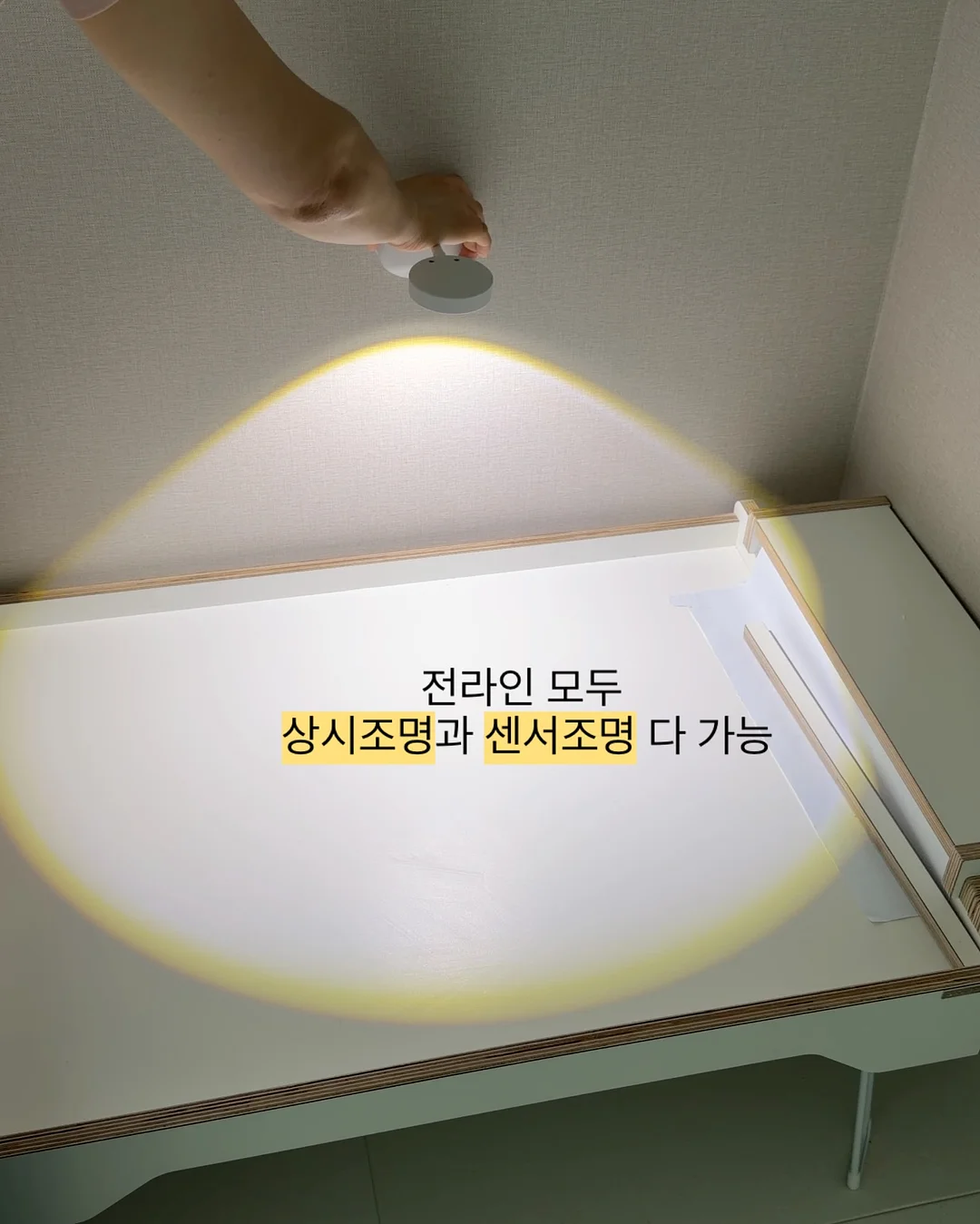 알파 CD 애사비컷 15