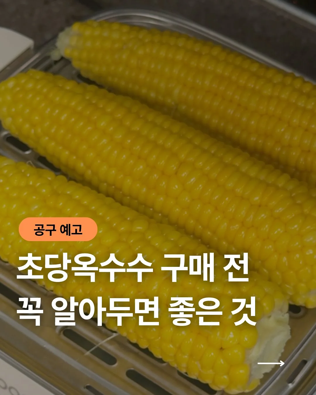 아이스붐 1