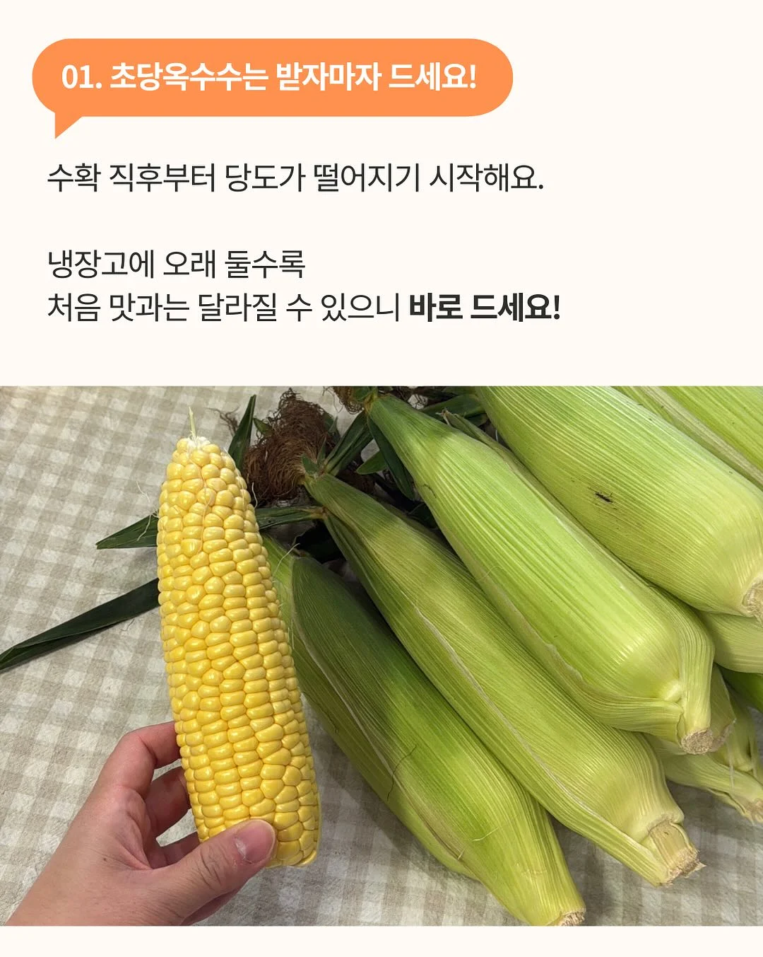 아이스붐 6