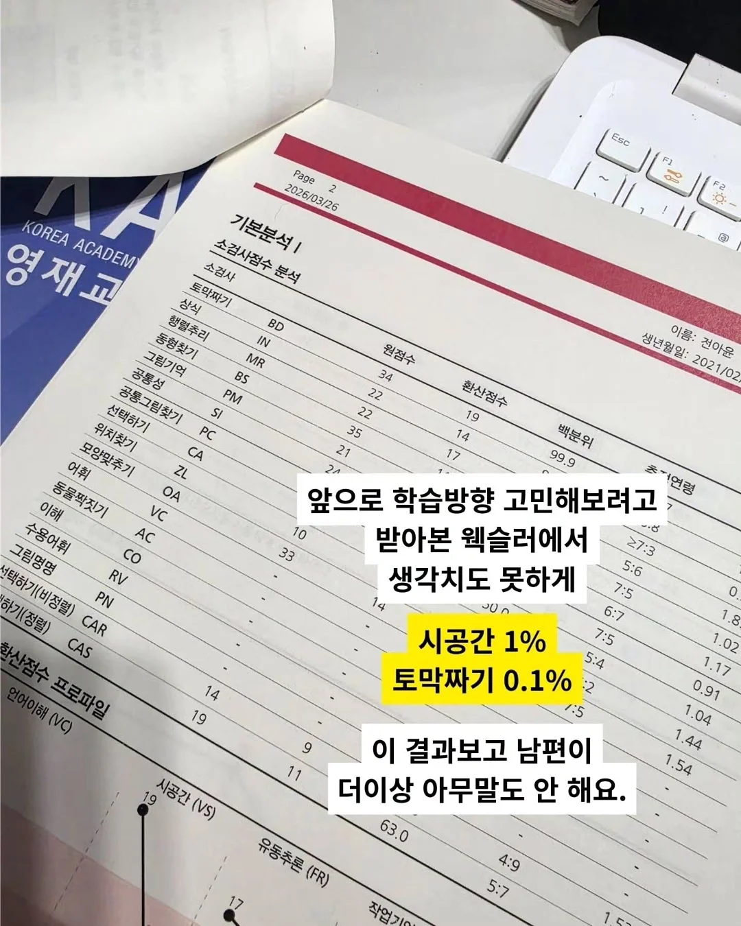 나시, 가디건 3