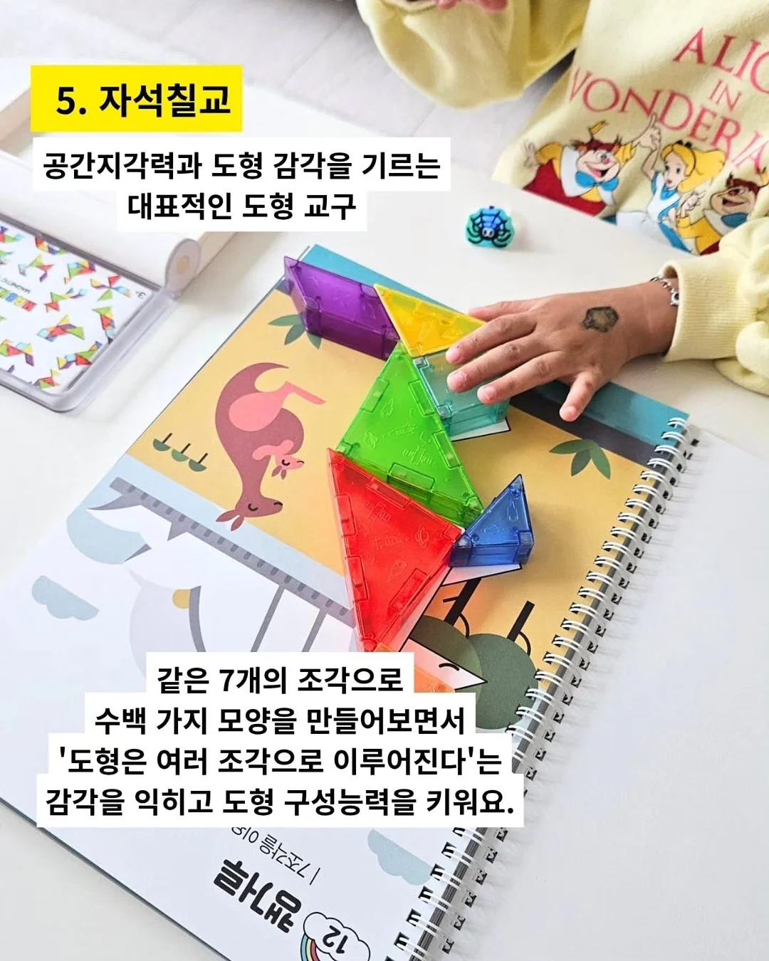 나시, 가디건 9