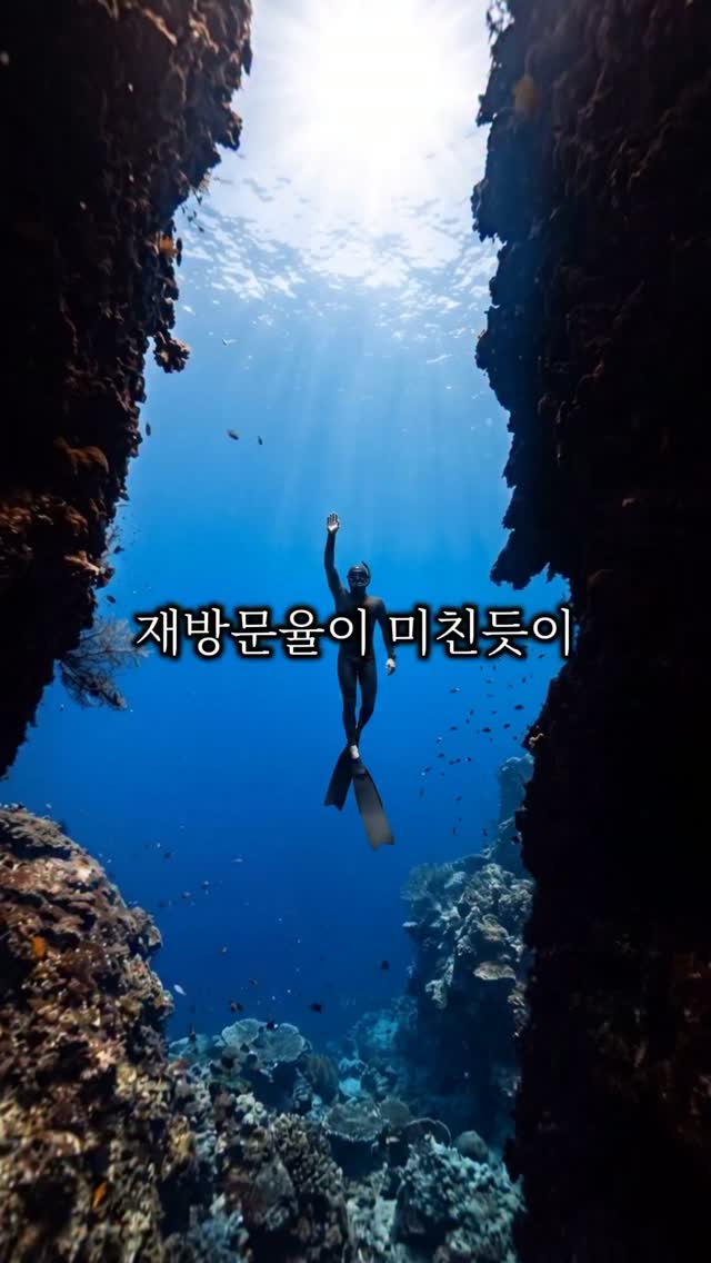 착붙 메이크업템