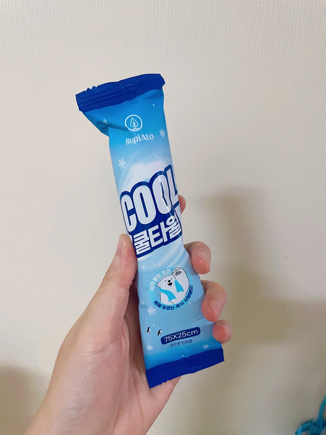 TEMU 추천템 10