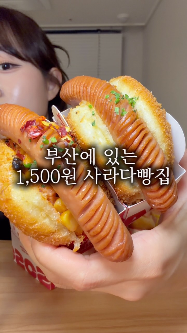 브리퍼 국민빗자루