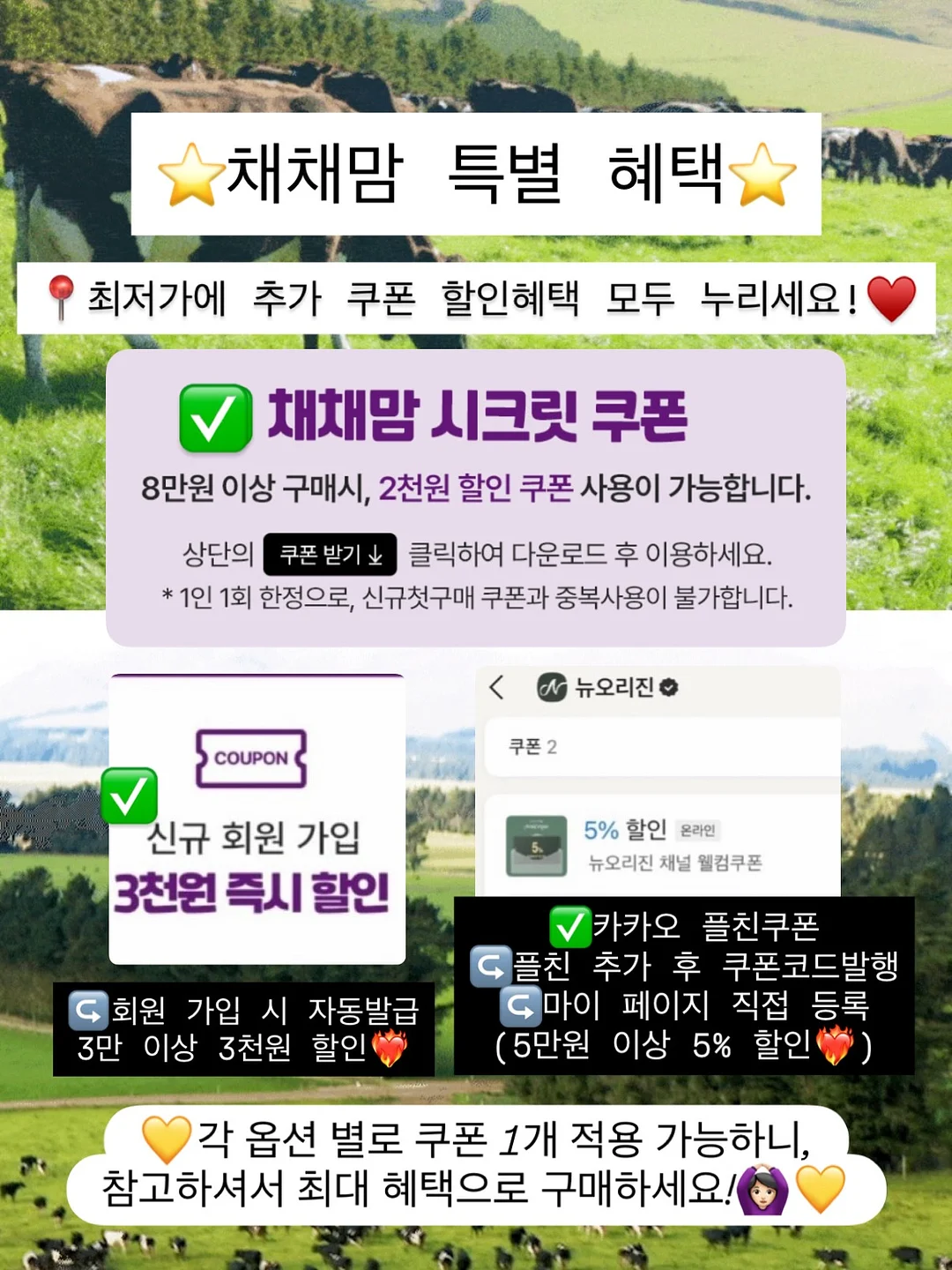 이모네 족볶음탕 11