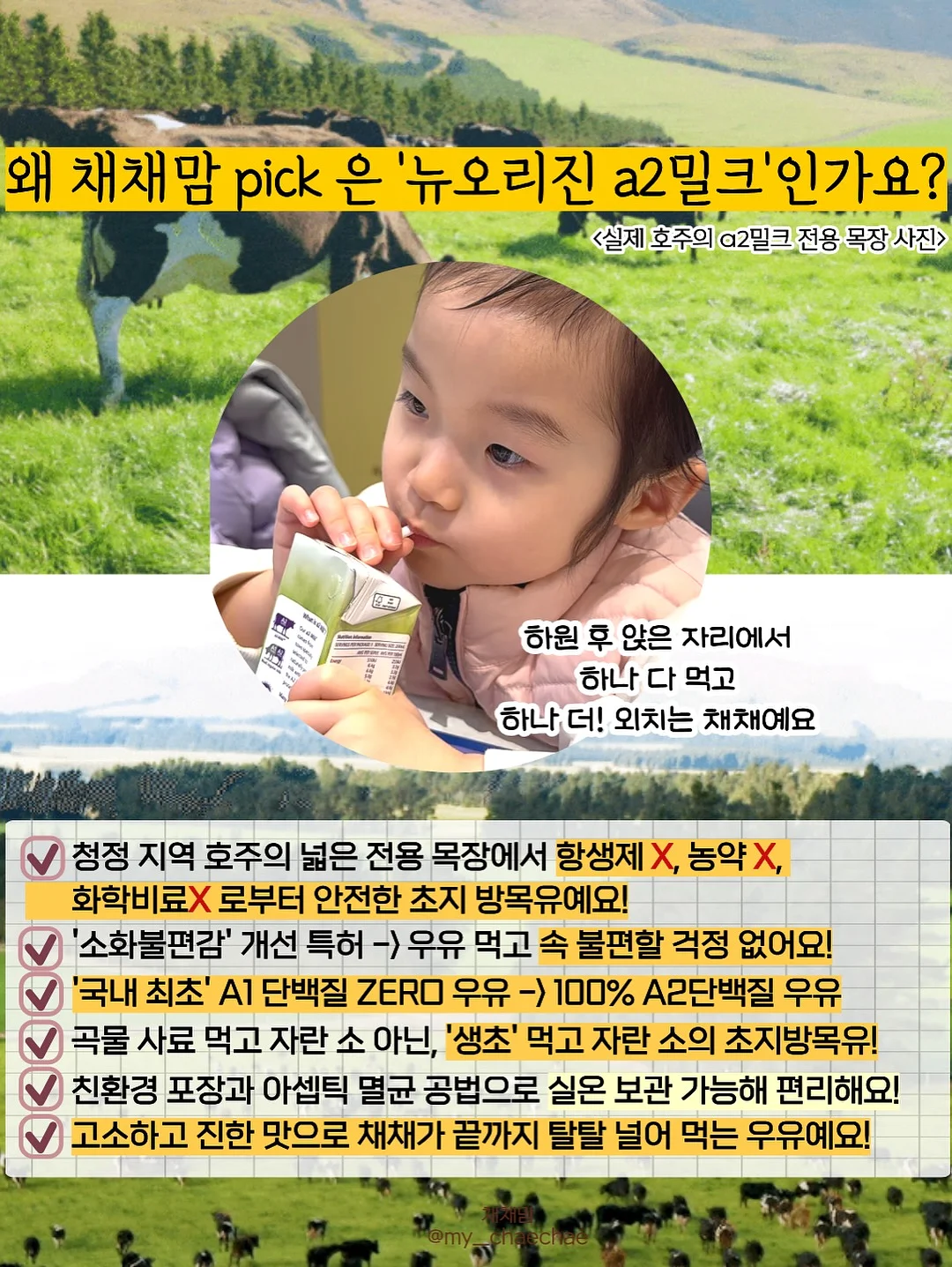 이모네 족볶음탕 4