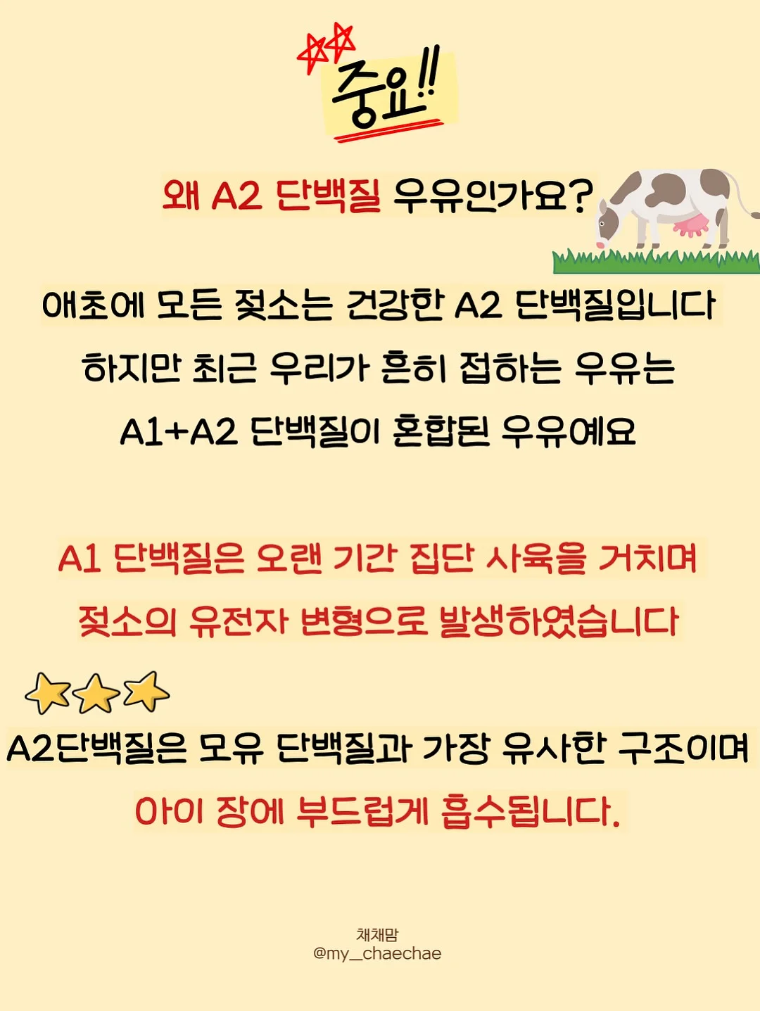 이모네 족볶음탕 9
