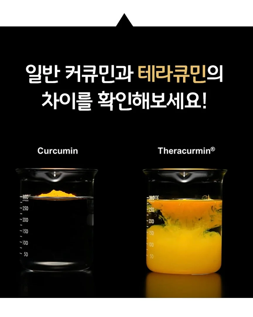 떡갈고무나무 8
