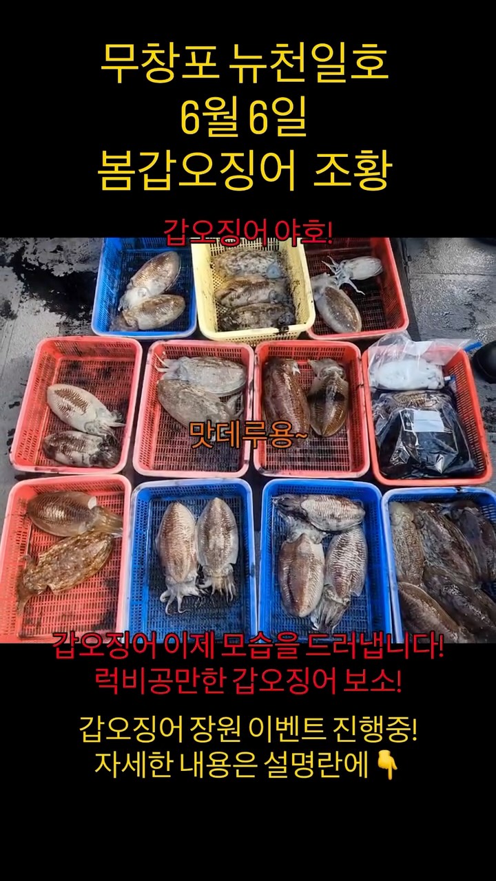 메리빵떡세트