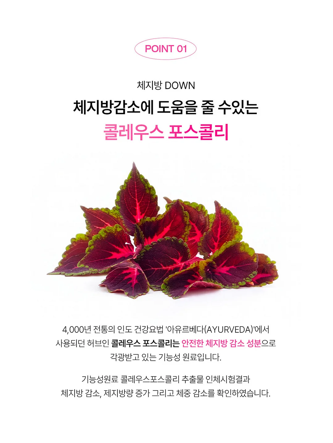 화이트잉크 스탬프 4