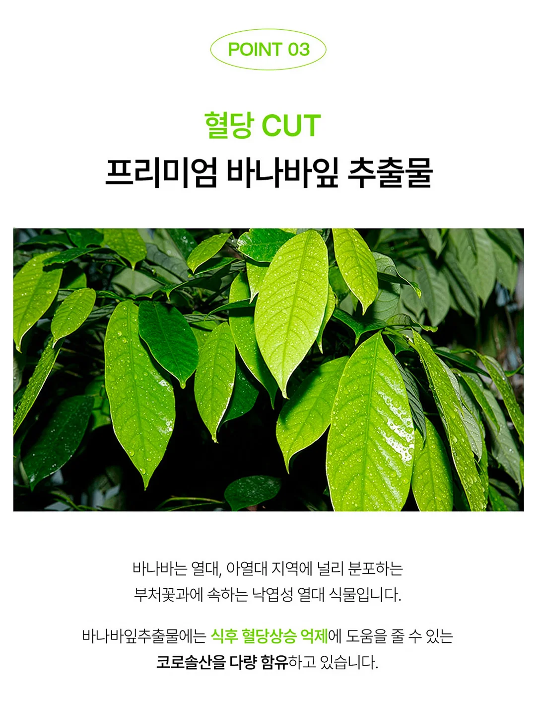 화이트잉크 스탬프 6