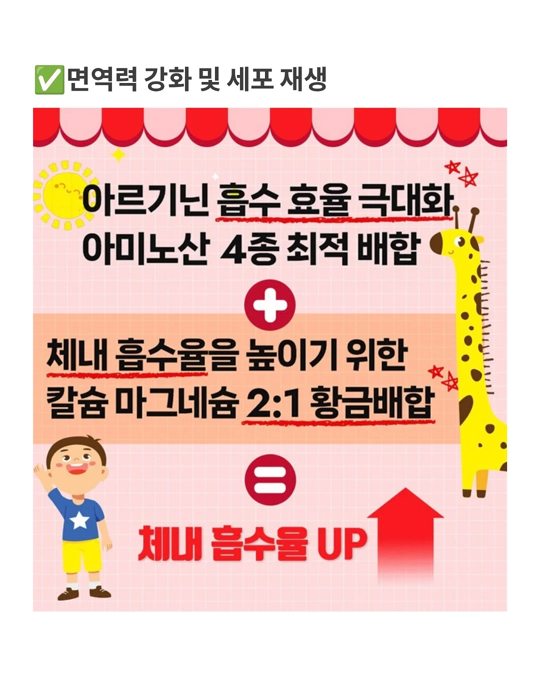 레이스 나시 4