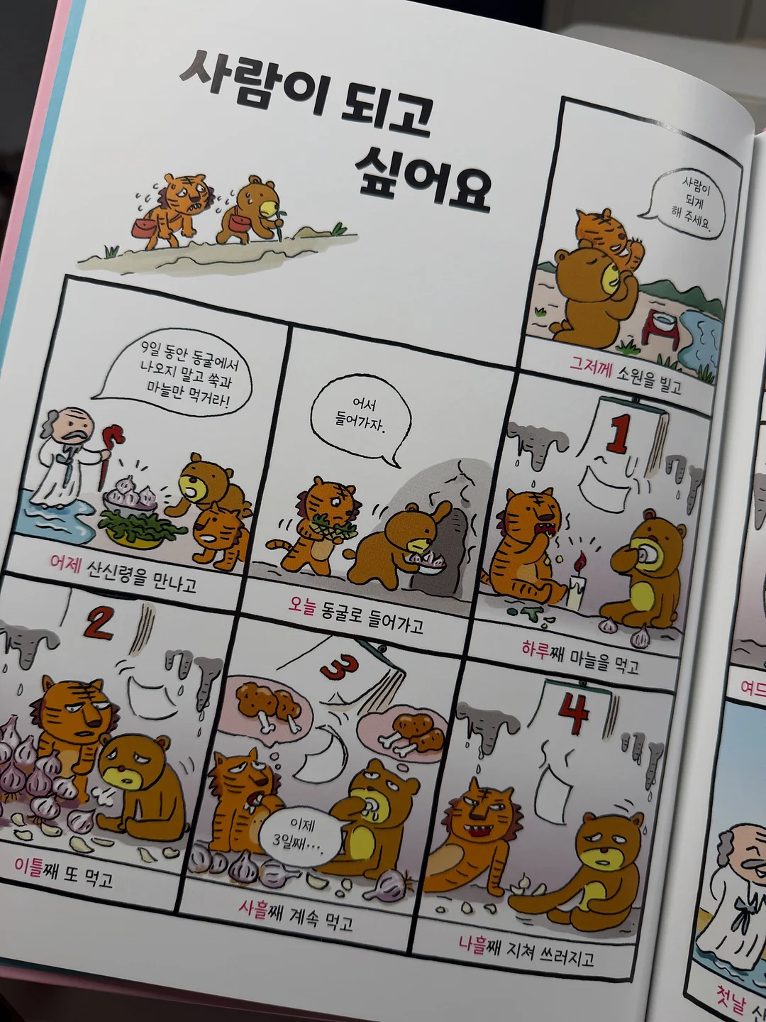 블랙버니 베개커버 8