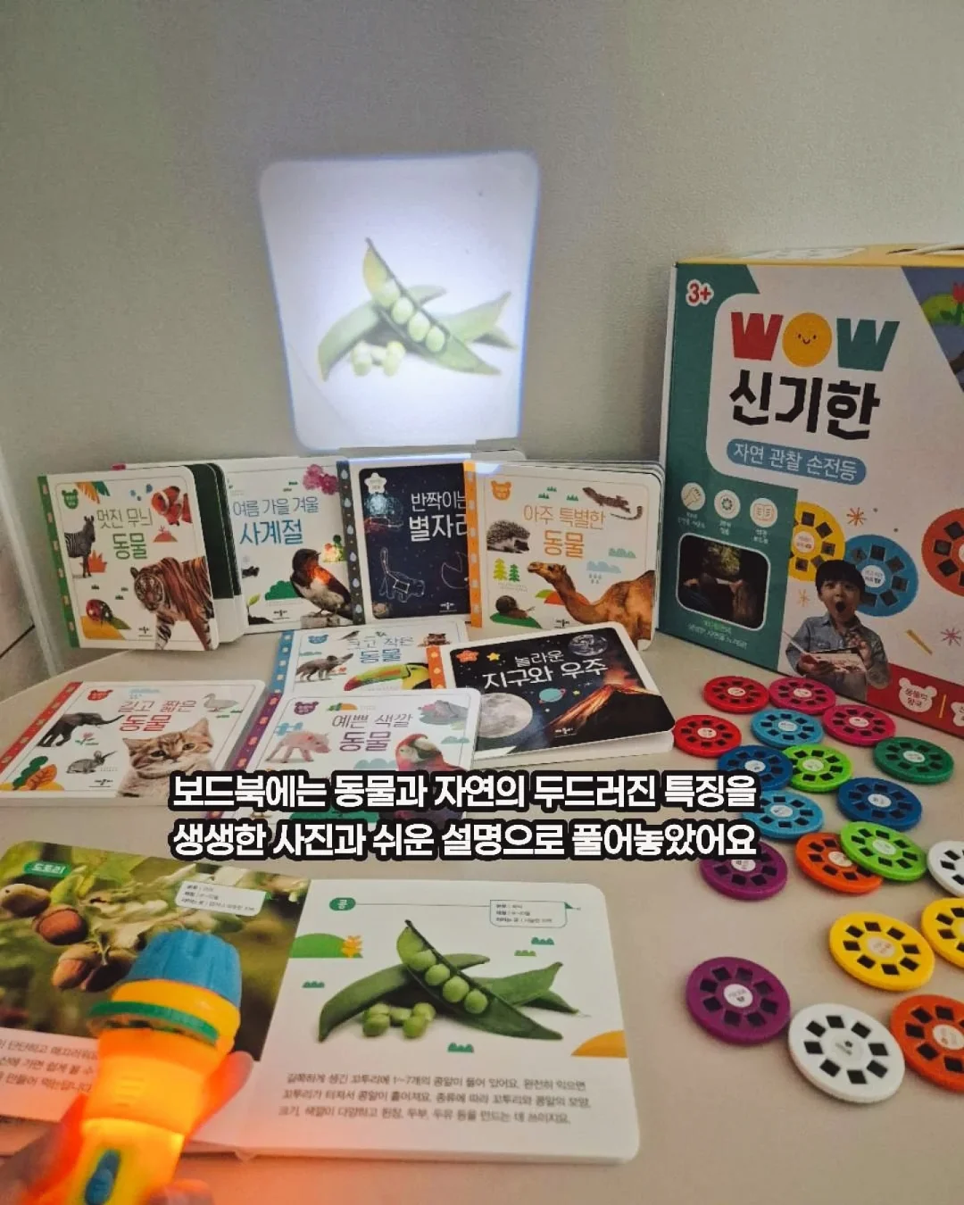 샤넬백 디자인 버터크림케이크 3