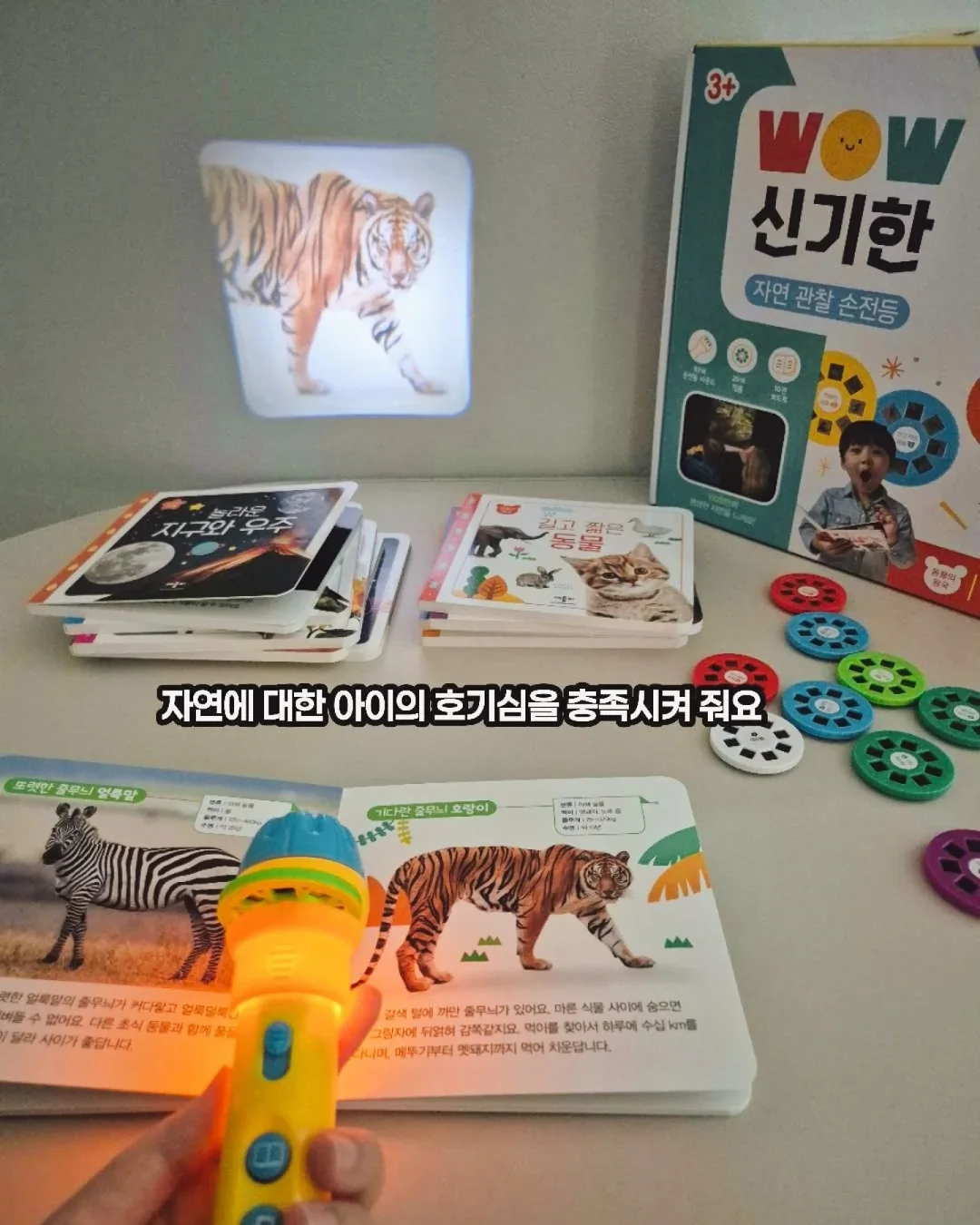 샤넬백 디자인 버터크림케이크 7