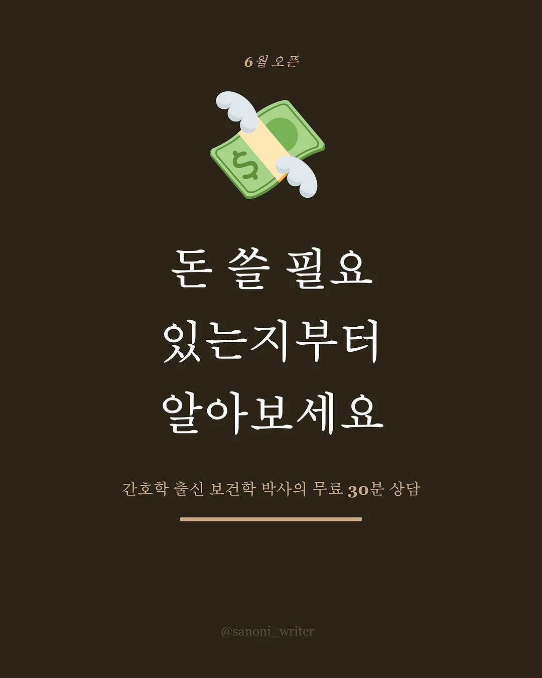 리본 보냉백 1