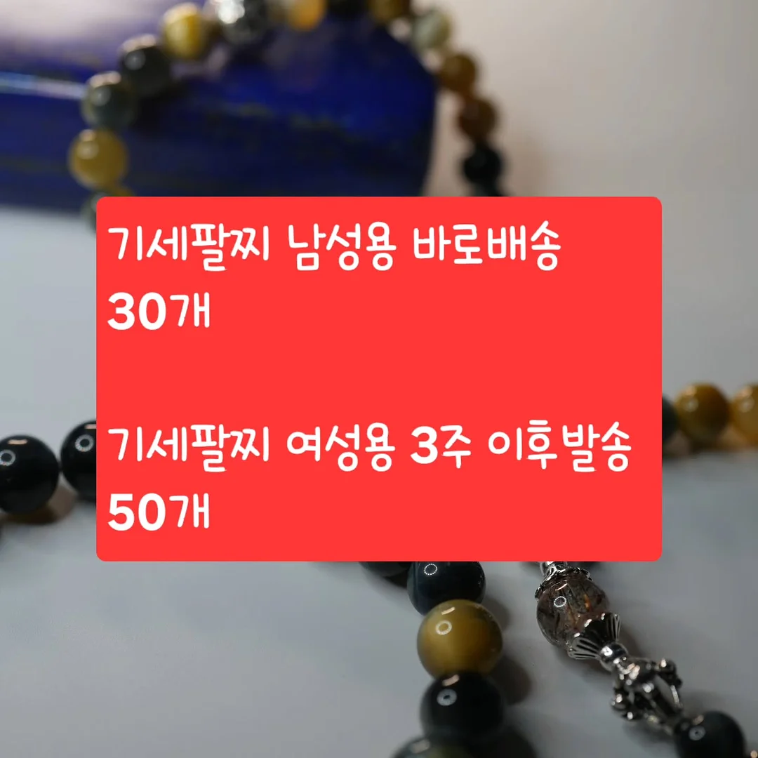 포켓몬 메타몽 카메라 에디션
