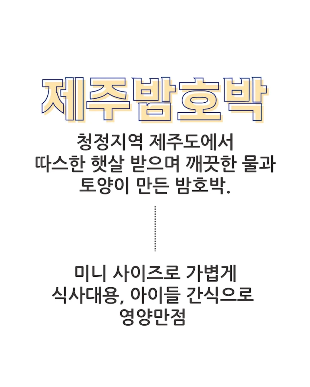 내강아지의사생활 5
