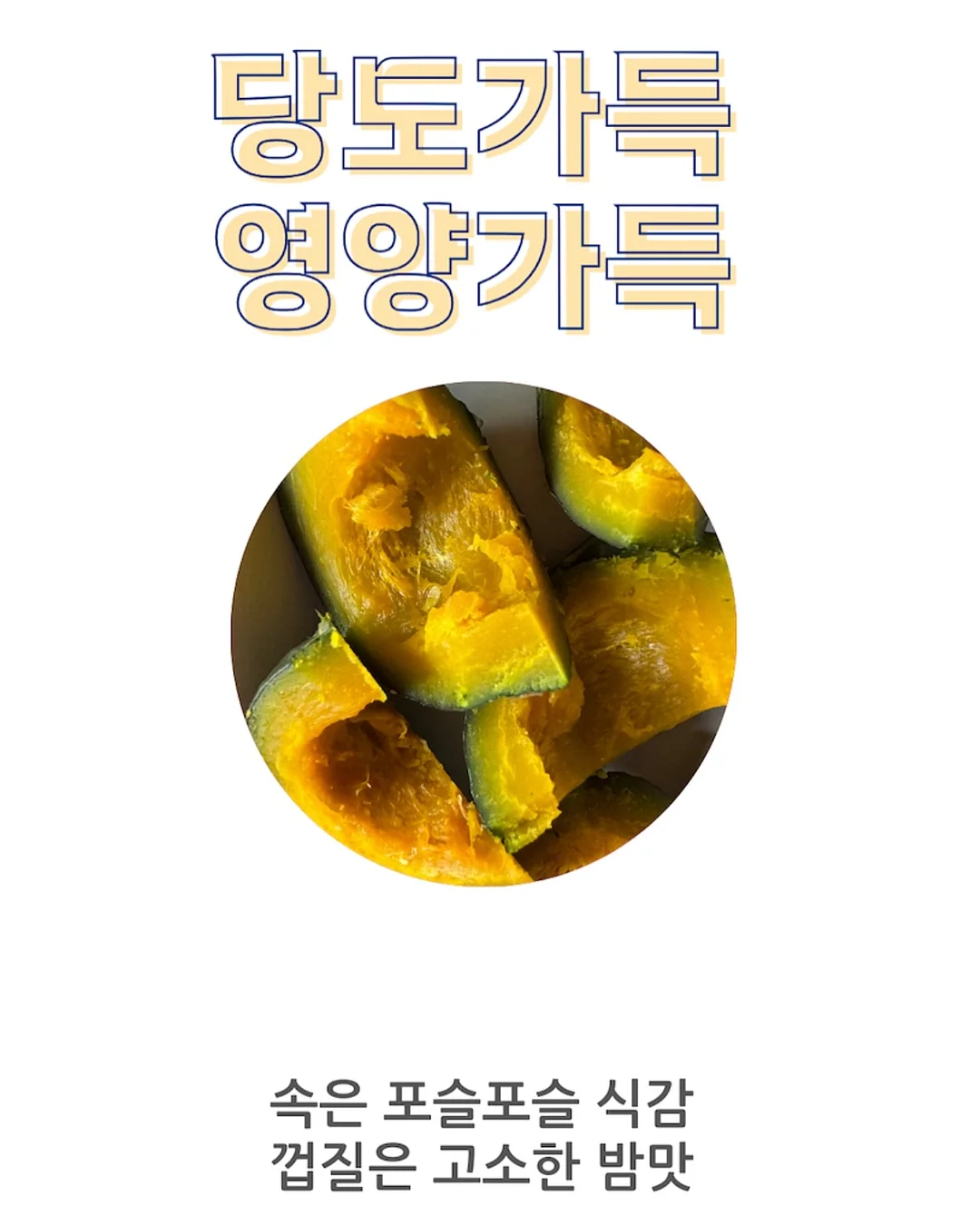 내강아지의사생활 10