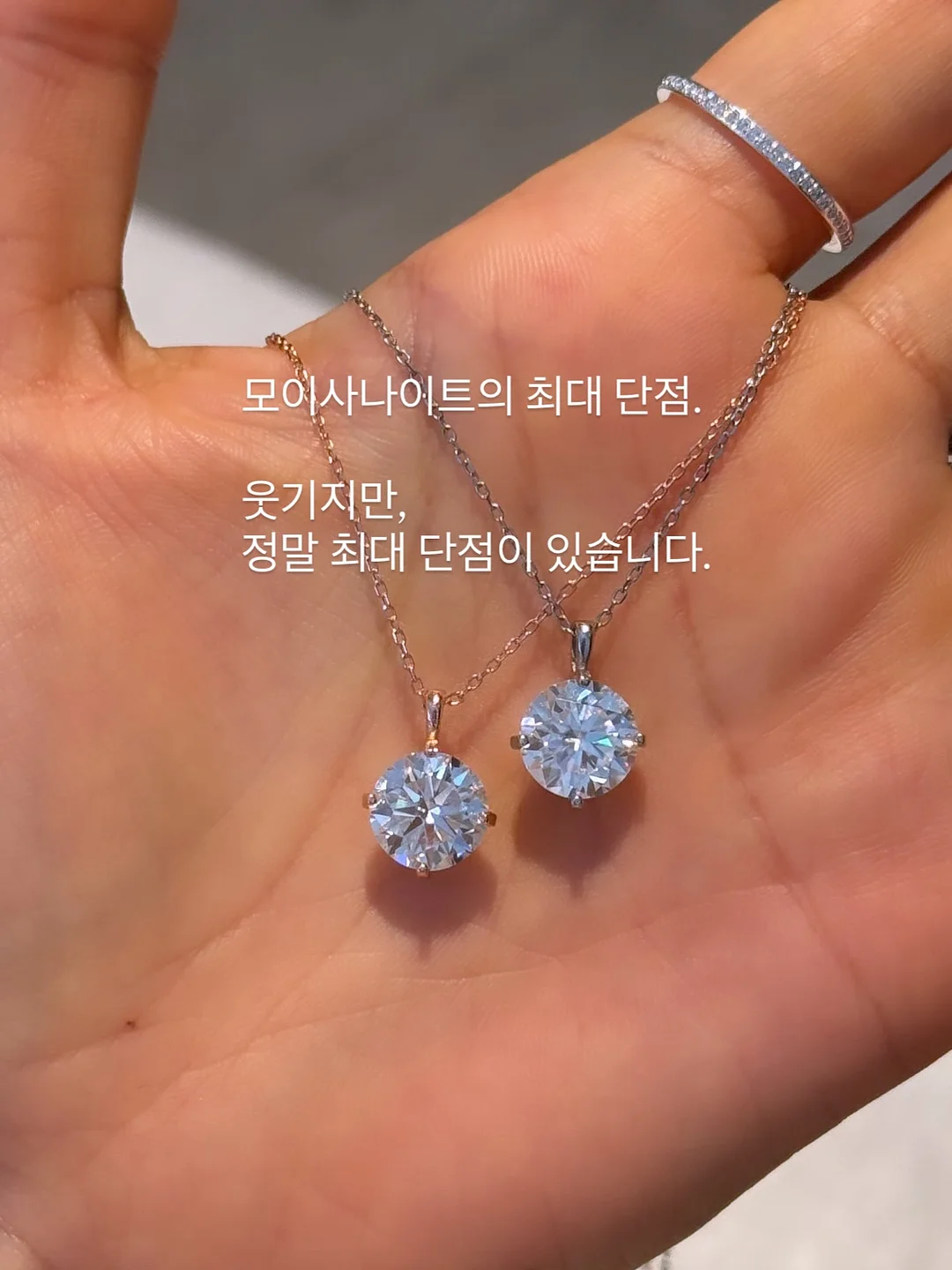 리라 입양 2