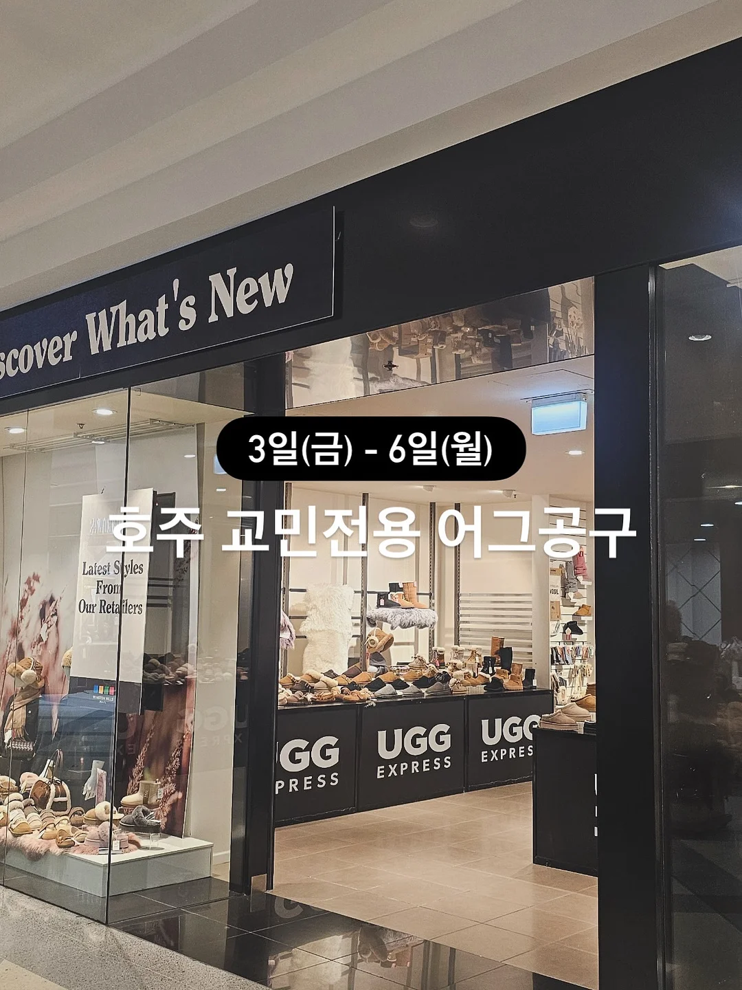커스텀어클락 여름 출근룩 2