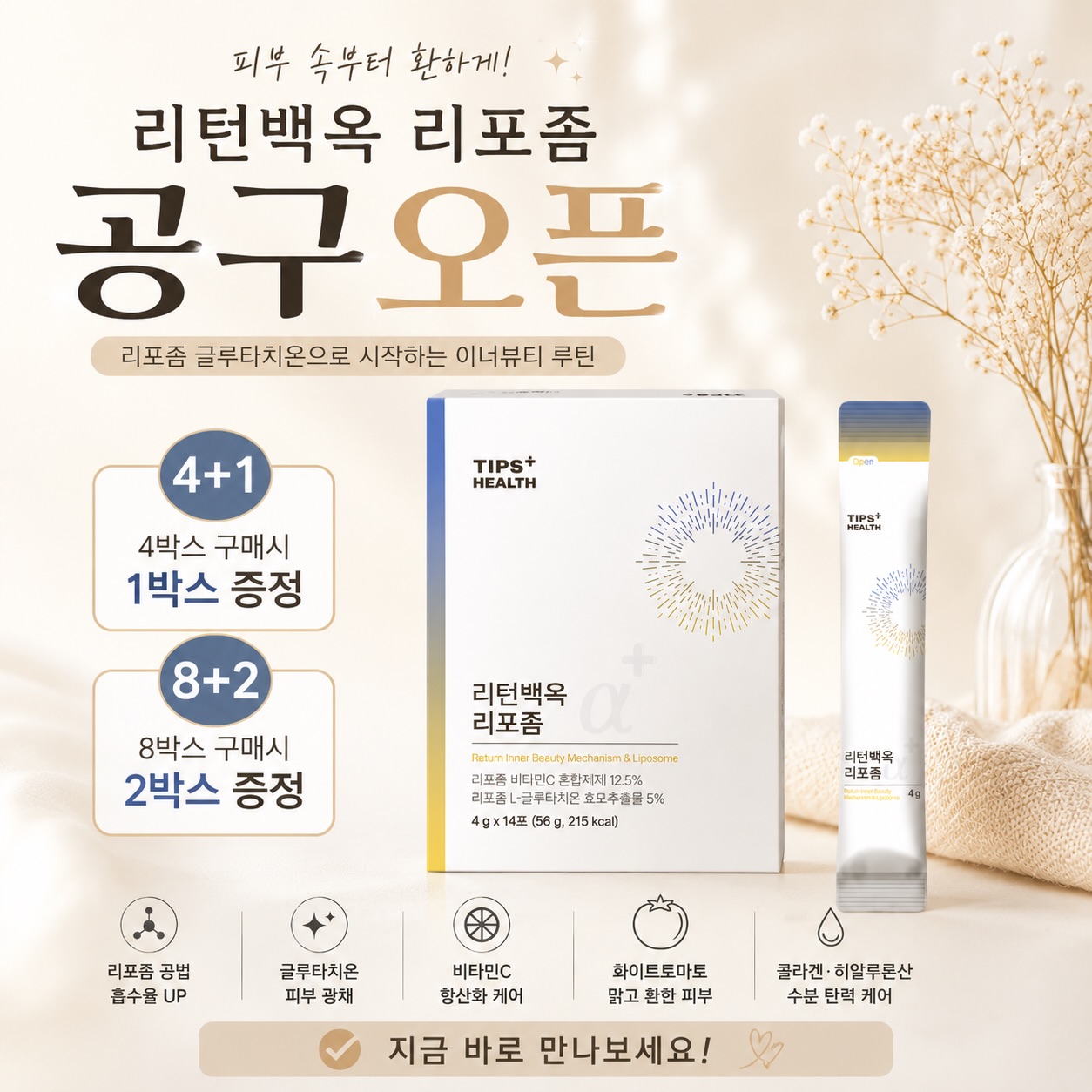단가라골지팬츠